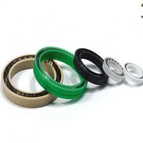 Spring Energized Seals