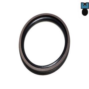 Piston Seal AQ