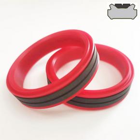 Hunger Piston Seals TDMA, Double Acting